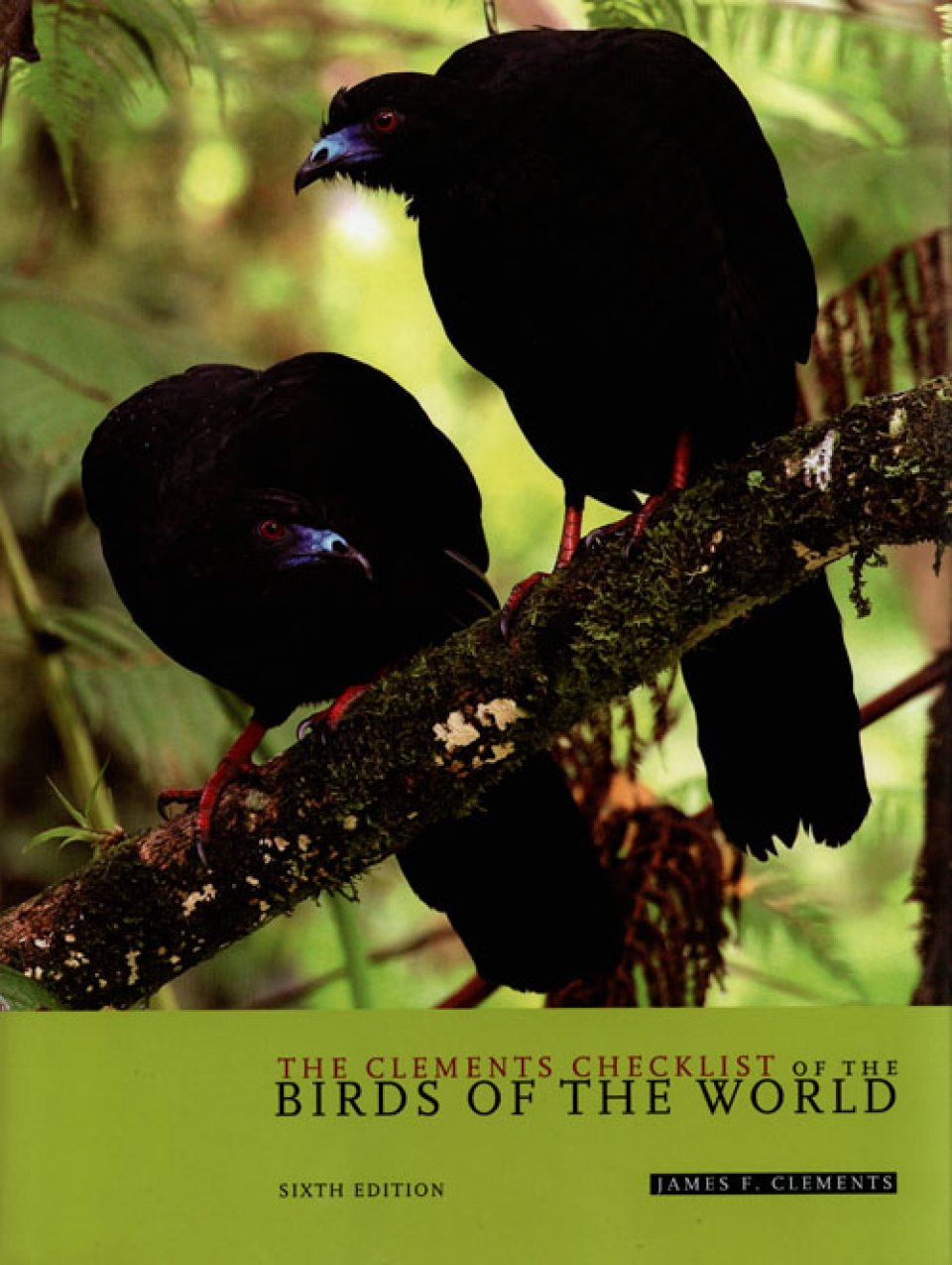 THE CLEMENTS CHECKLIST OF THE BIRDS OF THE WORLD. 6TH ED.