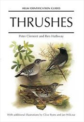 HELM IDENTIFICATION GUIDES. THRUSHES