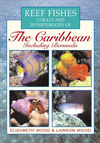 REEF FISHES, CORALS AND INVERTEBRATES OF THE CARIBBEAN INCLUDING BERMUDA 1