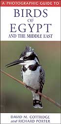 A PHOTOGRAPHIC GUIDE TO BIRDS OF EGYPT AND THE MIDDLE EAST