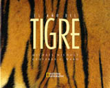EL AÑO DEL TIGRE 1