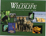 IMAGES OF WILDLIFE. THE BEST OF INTERNATIONAL WILDLIFE PHOTOGRAPHY. VOLUME ONE 1