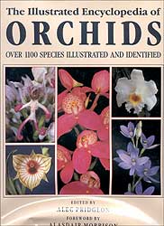 THE ILLUSTRATED ENCYCLOPEDIA OF ORCHIDS. OVER 1100 SPECIES ILLUSTRATED AND IDENTIFIED