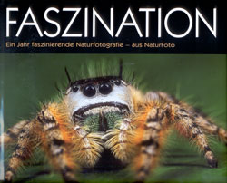 FASZINATION EIN JAHR