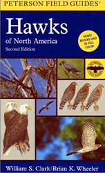 PETERSON FIELD GUIDES. HAWKS OF NORTH AMERICA