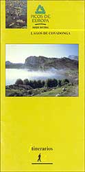PICOS DE EUROPA.PARQUE NACIONAL LAGOS DE COVADONGA. ITINERARIOS 1