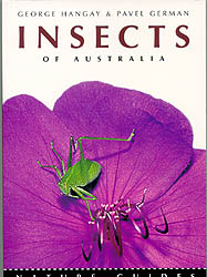 INSECTS OF AUSTRALIA
