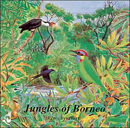 CD JUNGLES DE BORNÉO / JUNGLES OF BORNEO 1