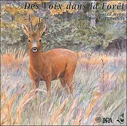 CD LES VOIX DANS LA FORÊT 1