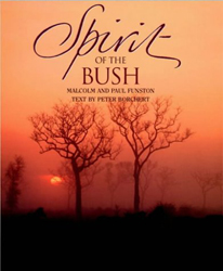 SPIRIT OF THE BUSH 1