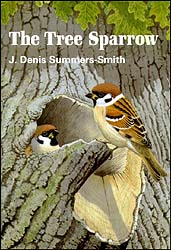 THE TREE SPARROW