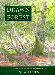 DRAWN TO THE FOREST 1