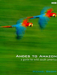ANDES TO AMAZON. A GUIDE TO WILD SOUTH AMERICA