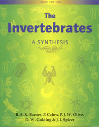 THE INVERTEBRATES. A SYNTHESIS 1
