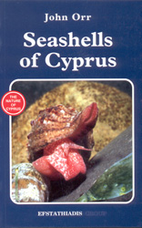 SEASHELLS OF CYPRUS 1