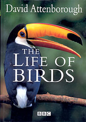 THE LIFE OF BIRDS