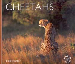 WORLDLIFE LIBRARY. CHEETAHS