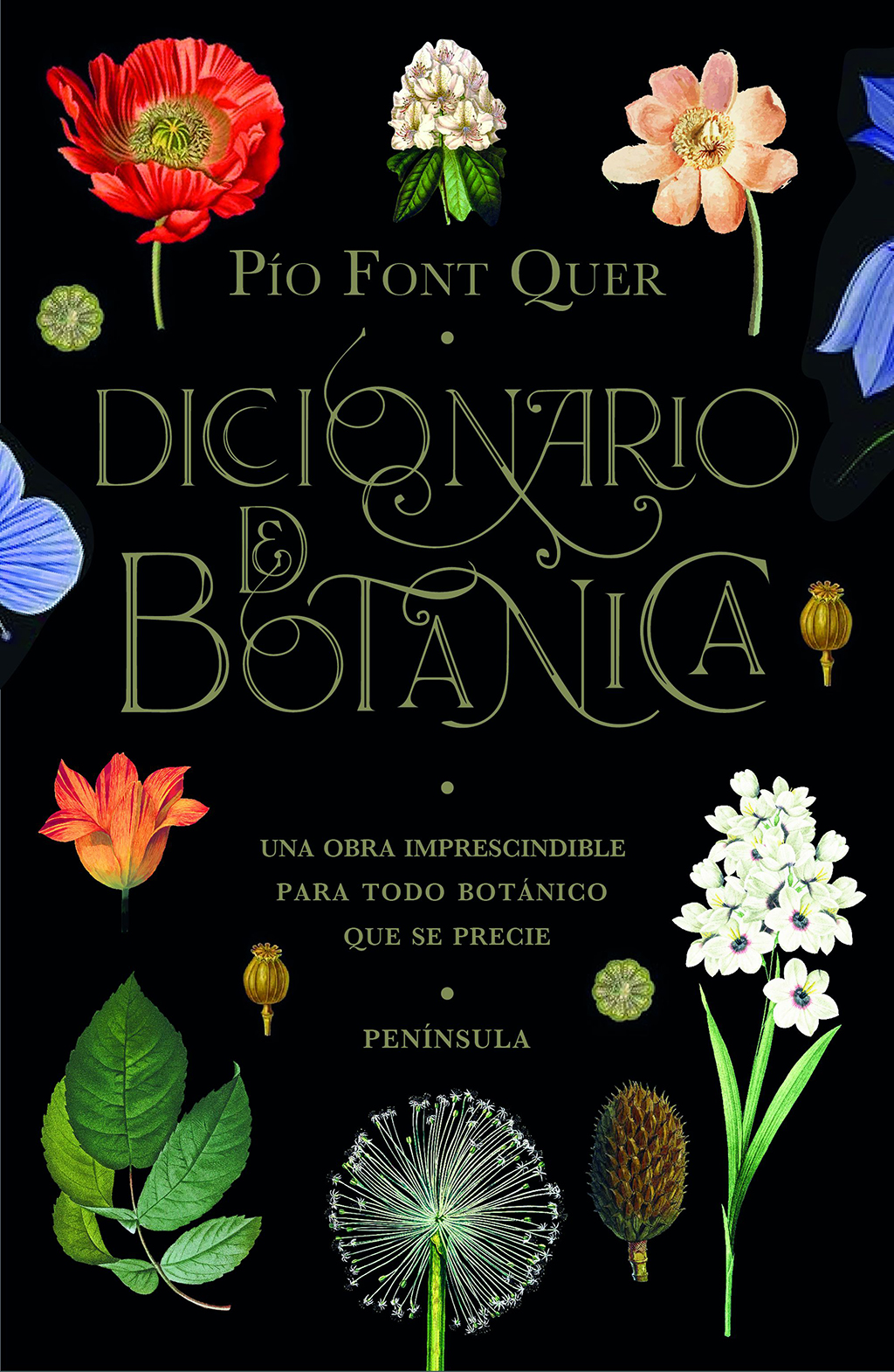 DICCIONARIO DE BOTÁNICA 1