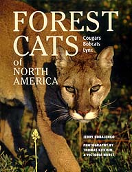 FOREST CATS OF NORTH AMERICA. COUGARS, BOBCATS AND LYNX