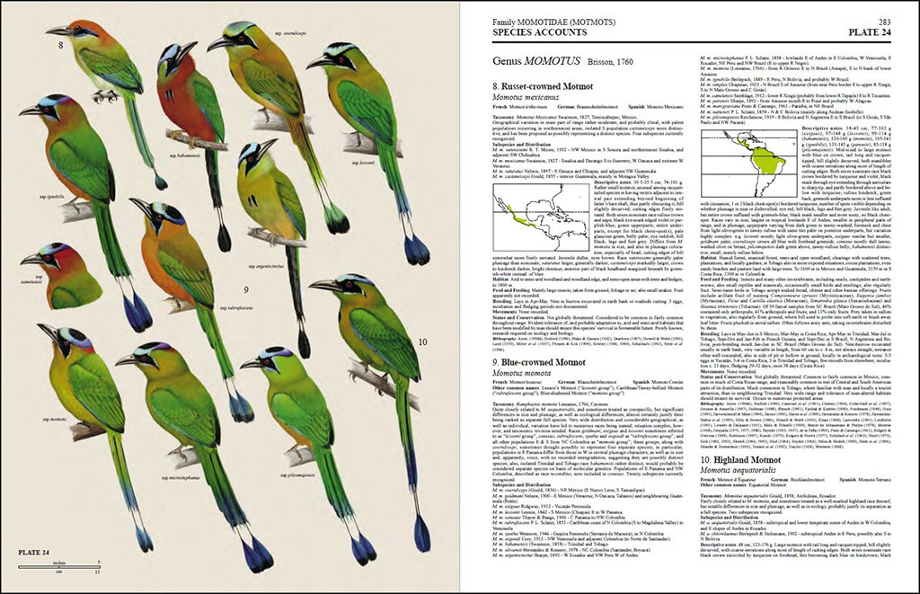 HANDBOOK OF THE BIRDS OF THE WORLD, VOL. 6. MOUSEBIRDS TO HORNBILLS 2