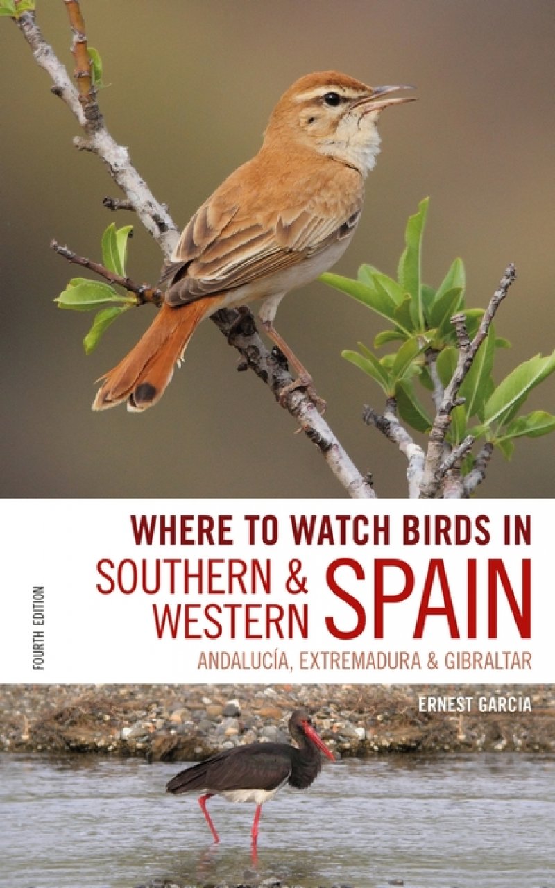 WHERE TO WATCH BIRDS IN SOUTHERN & WESTERN SPAIN. ANDALUCÍA, EXTREMADURA & GIBRALTAR 1