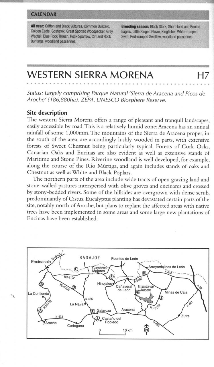 WHERE TO WATCH BIRDS IN SOUTHERN & WESTERN SPAIN. ANDALUCÍA, EXTREMADURA & GIBRALTAR 2