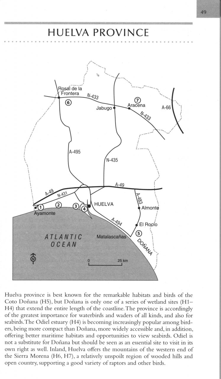 WHERE TO WATCH BIRDS IN SOUTHERN & WESTERN SPAIN. ANDALUCÍA, EXTREMADURA & GIBRALTAR 3