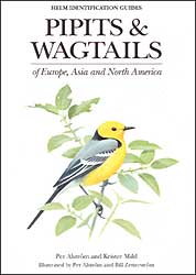 PIPITS AND WAGTAILS OF EUROPE, ASIA AND NORTH AMERICA