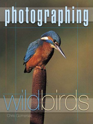 PHOTOGRAPHING WILD BIRDS 1
