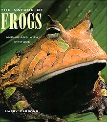 THE NATURE OF FROGS. AMPHIBIANS WITH ATTITUDE