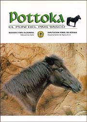 POTTOKA. EL PONI DEL PAÍS VASCO 1