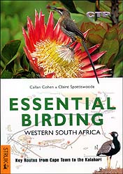 ESSENTIAL BIRDING WESTERN SOUTH AFRICA. KEY ROUTES FROM CAPE TOWN TO THE KALAHARI