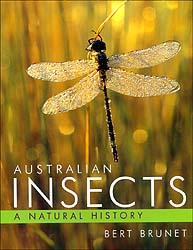 AUSTRALIAN INSECTS. A NATURAL HISTORY