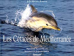 LES CÉTACÉS DE MÉDITERRANÉE 1