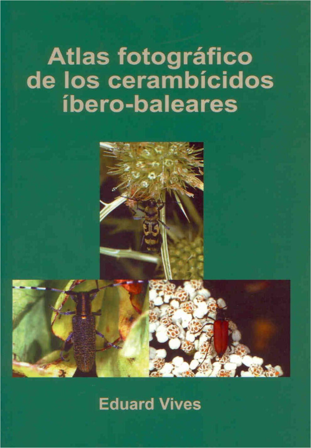 ATLAS FOTOGRÁFICO DE LOS CERAMBÍCIDOS ÍBERO-BALEARES 1