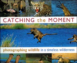 CATCHING THE MOMENT. PHOTOGRAPHING WILDLIFE IN A TIMELESS WILDERNESS