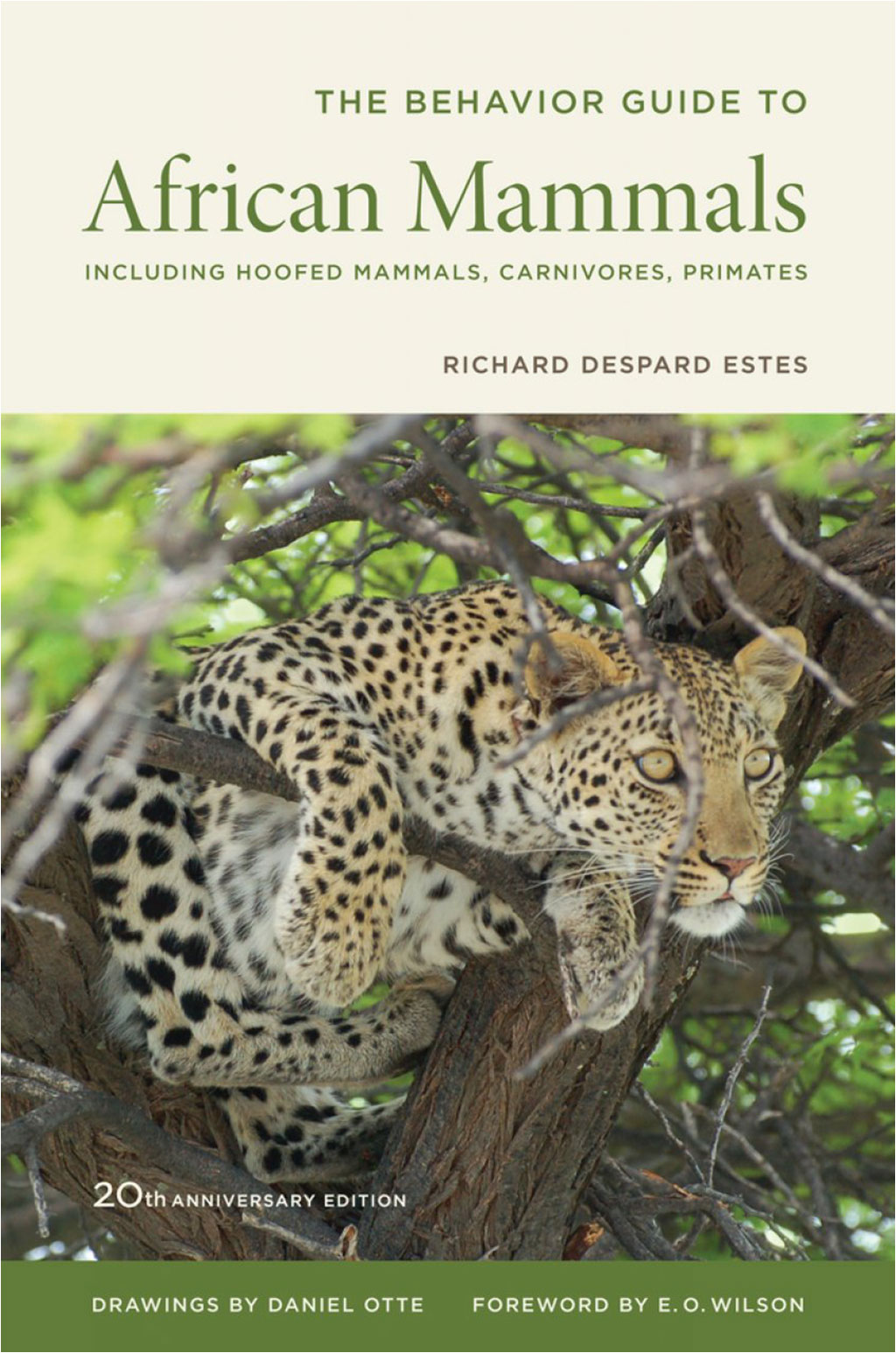 THE BEHAVIOR GUIDE TO AFRICAN MAMMALS . INCLUDING HOOFED MAMMALS, CARNIVORES, PRIMATES