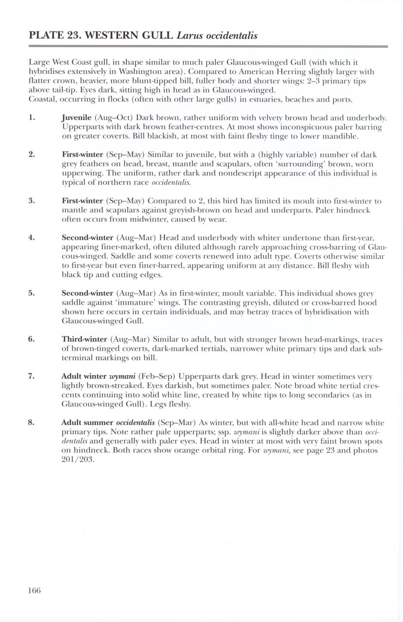 HELM IDENTIFICATION GUIDES. GULLS OF EUROPE, ASIA & NORTH AMERICA 2