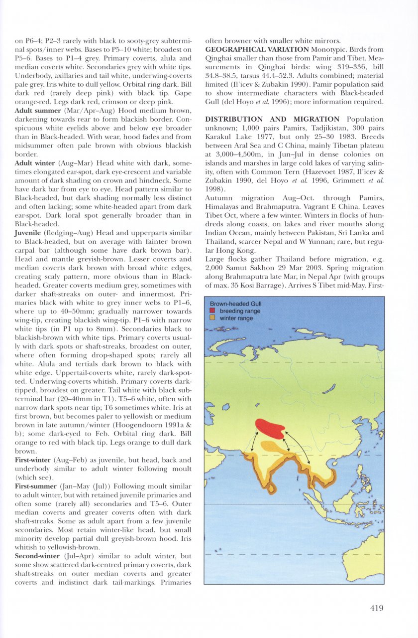 HELM IDENTIFICATION GUIDES. GULLS OF EUROPE, ASIA & NORTH AMERICA 5