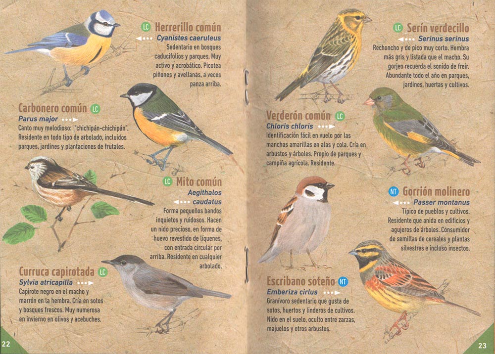 GUÍA DE LAS AVES COMUNES DE ESPAÑA                                                                                                                     2
