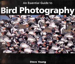 AN ESSENTIAL GUIDE TO BIRD PHOTOGRAPHY