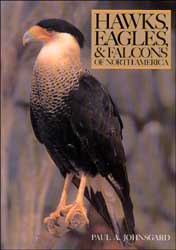 HAWKS, EAGLES, AND FALCONS OF NORTH AMERICA. BIOLOGY AND NATURAL HISTORY
