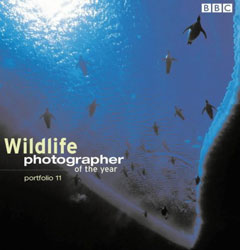 WILDLIFE PHOTOGRAPHER OF THE YEAR. PORTFOLIO 11