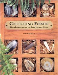 COLLECTING FOSSILS