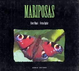MARIPOSAS 1