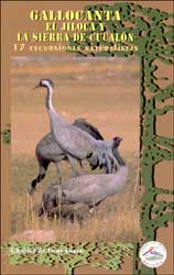 GALLOCANTA, EL JILOCA Y LA SIERRA DE CUCALÓN 17 EXCURSIONES NATURALISTAS 1