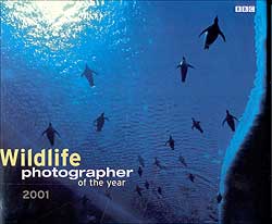 WILDLIFE PHOTOGRAPHER OF THE YEAR 2001 1
