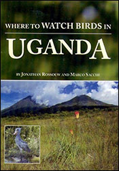 WHERE TO WATCH BIRDS IN UGANDA