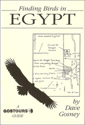 FINDING BIRDS IN EGYPT 1