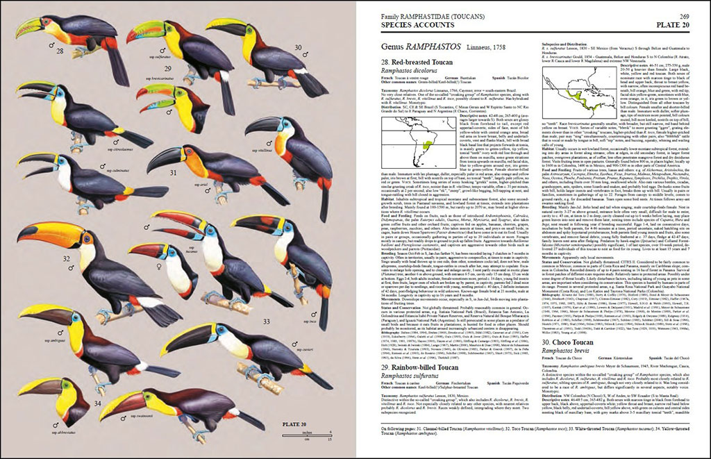 HANDBOOK OF THE BIRDS OF THE WORLD, VOL. 7. JACAMARS TO WOODPECKERS 2